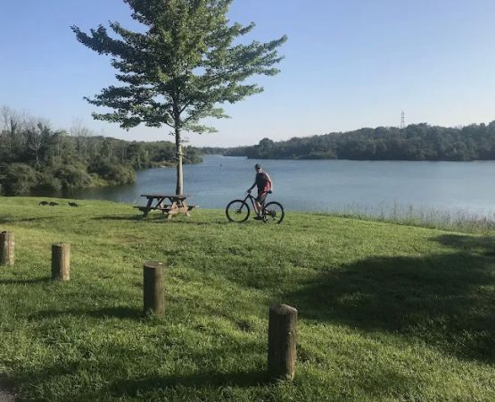 Westwood Park