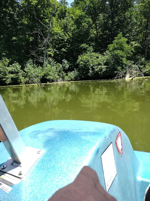 Miami Whitewater Forest Campground 6
