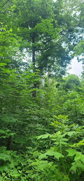 Miami Whitewater Forest Campground 3