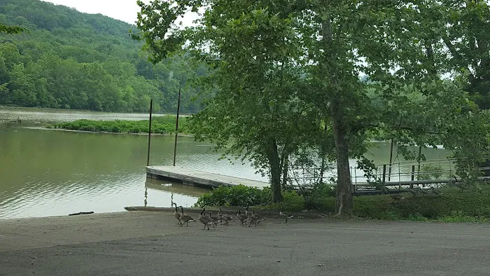 Arnold's Creek Campground & Marina 8