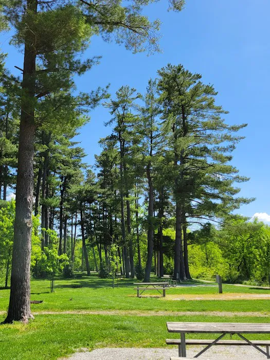 Winton Woods Campground 8