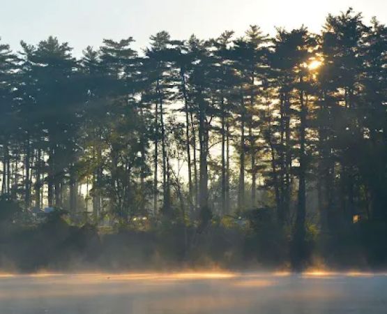 Winton Woods Campground