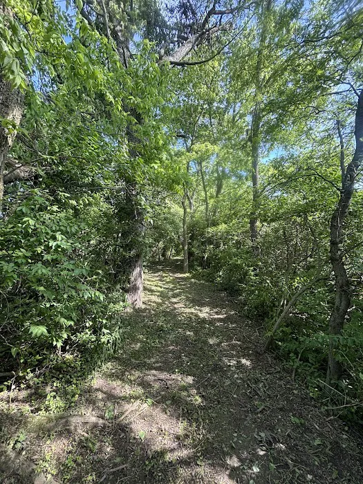 Mohawk Camp Ground 8