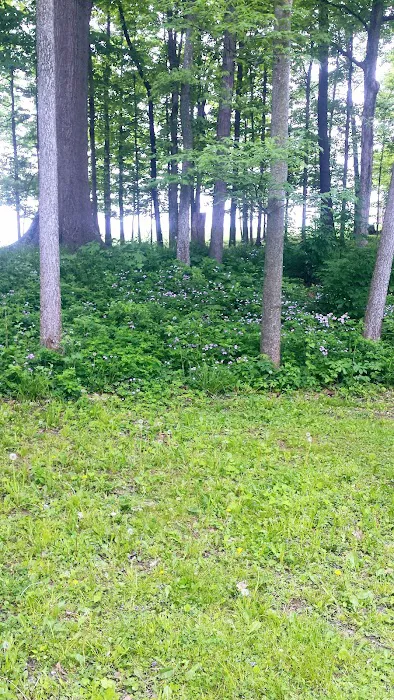 Marbrook Campground 6