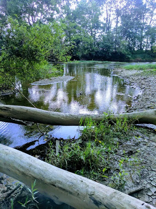 Marbrook Campground 8
