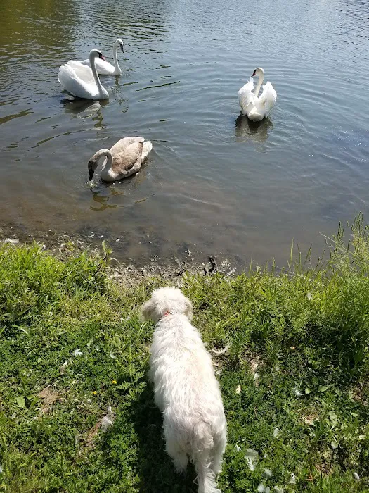 Sports Lake Campground 2