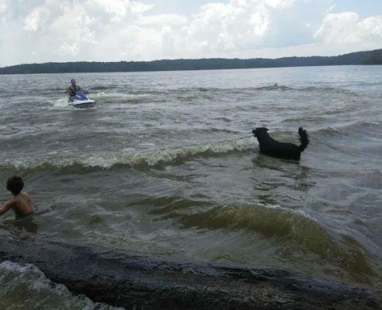 East Fork State Park Campgrounds