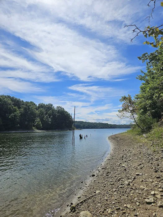 East Fork State Park Campground 3