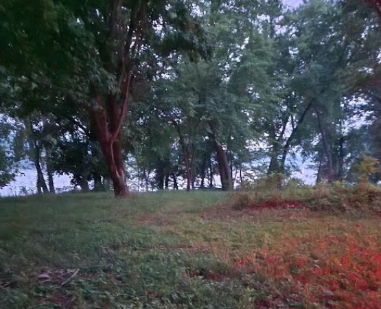 Indian Creek Landing Campground