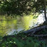 Flowing Well Campground