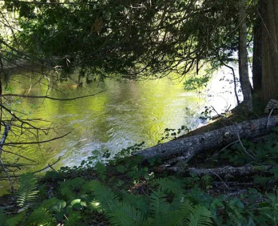 Flowing Well Campground