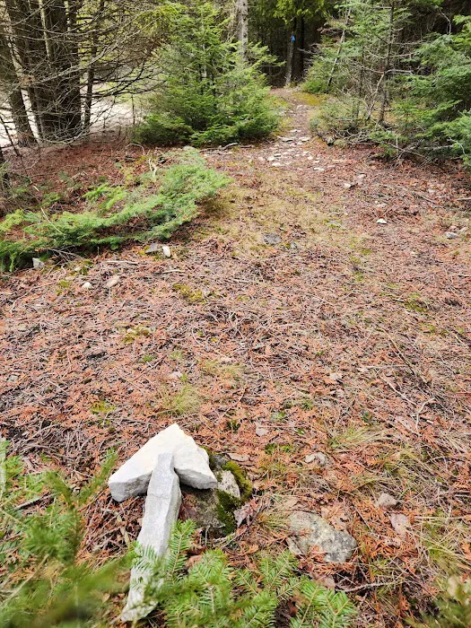 Portage Bay State Campground 2