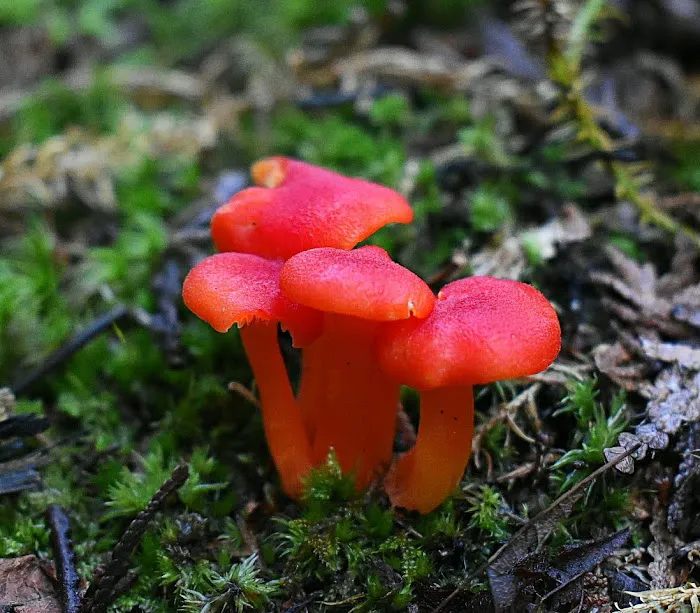 Portage Bay State Campground 3