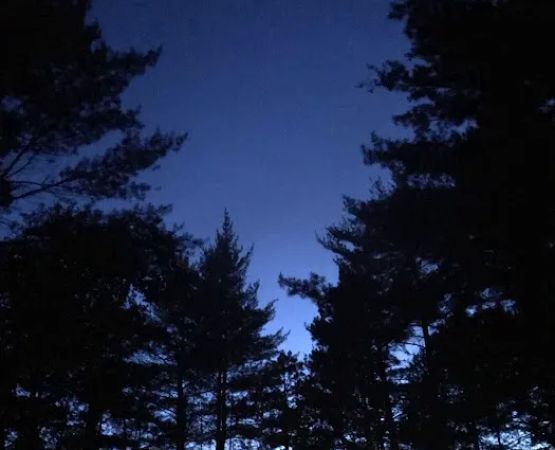 Chicago Lake Dispersed Campsite