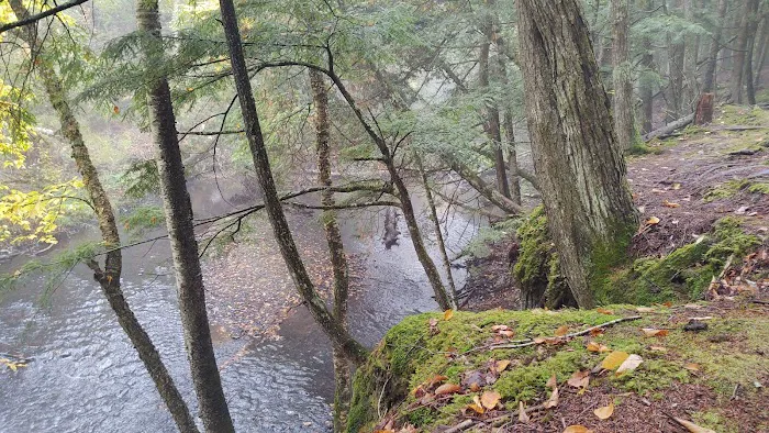 Haymeadow Creek Campsite 6