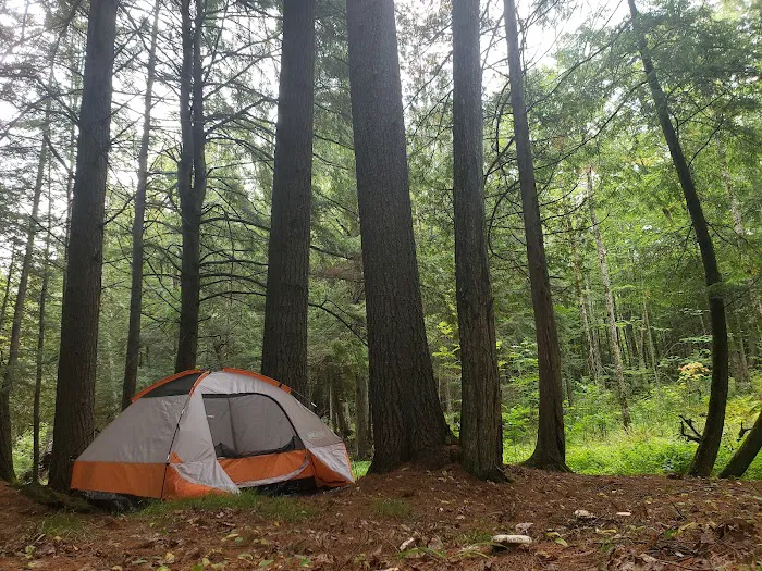Haymeadow Creek Campsite 3