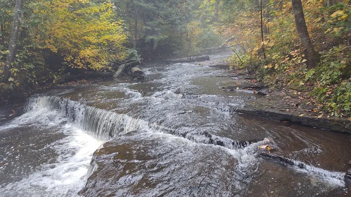 Haymeadow Creek Campsite 8