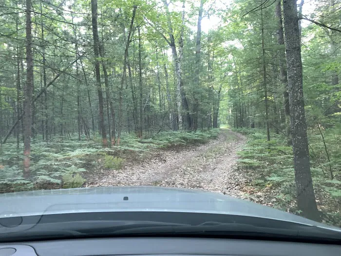 Gooseneck Lake Campsite #4 1