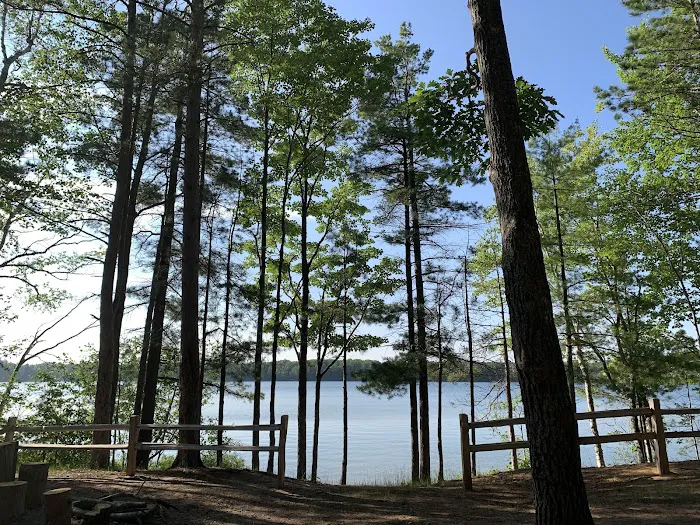 Gooseneck Lake Campsite #4 2