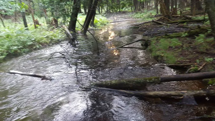 Indian Lake West Shore Campground 0