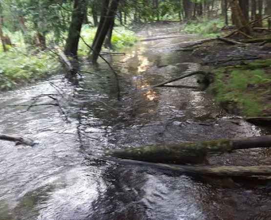 Indian Lake West Shore Campground