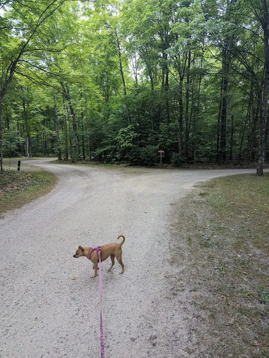 Indian Lake West Shore Campground 6