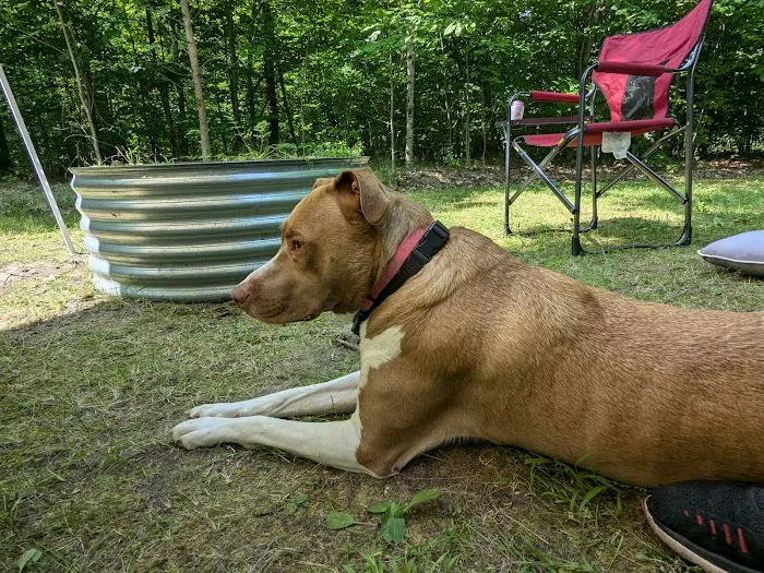 West Shore Campground - Indian Lake State Park 1