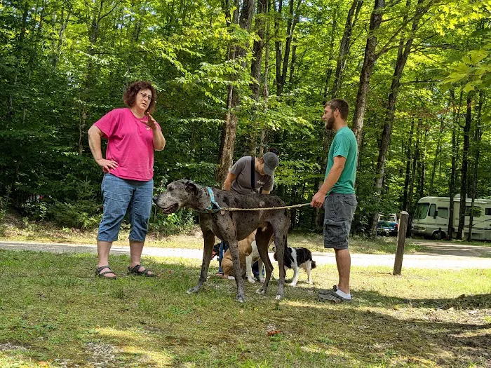 West Shore Campground - Indian Lake State Park 2