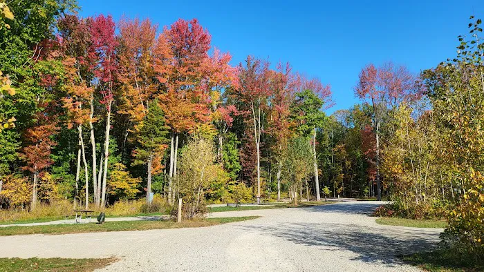 Brown County Reforestation Camp Campground 9