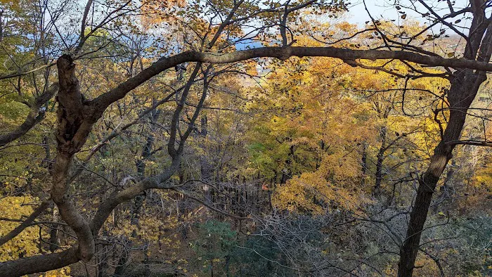 High Cliff State Park Campground 8