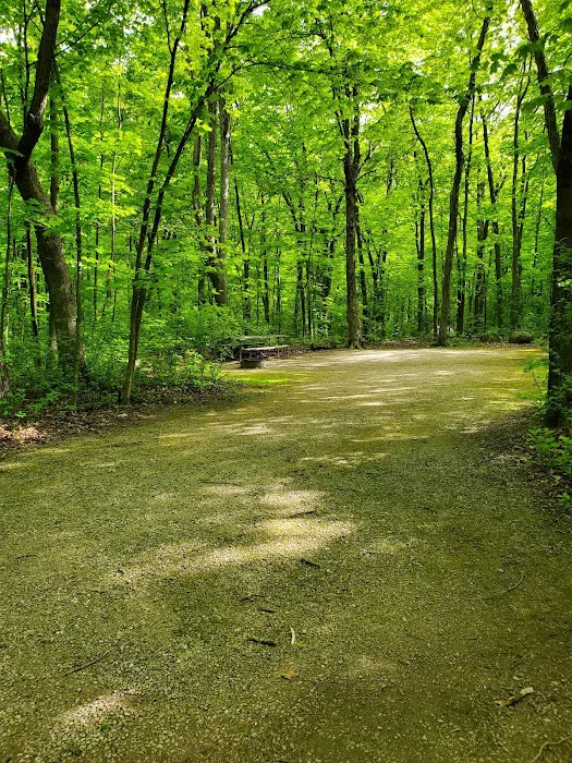 High Cliff State Park Campground 7