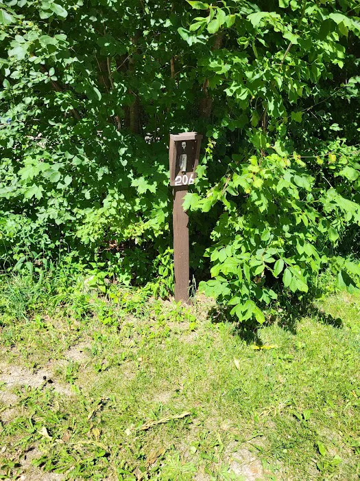 Group Campground 7