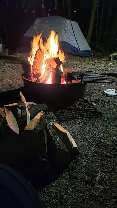 Group Campground 4