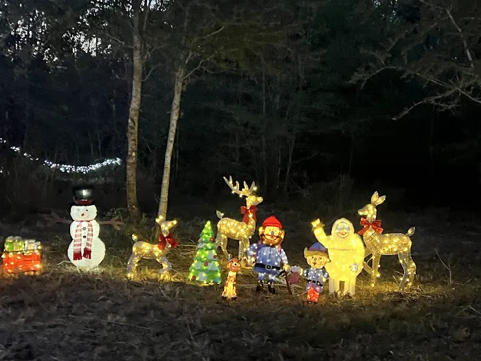 Hidden Cypress Christmas Tree Farm 3