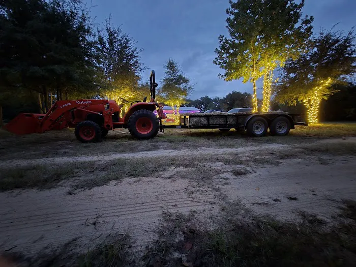 Hidden Cypress Christmas Tree Farm 5