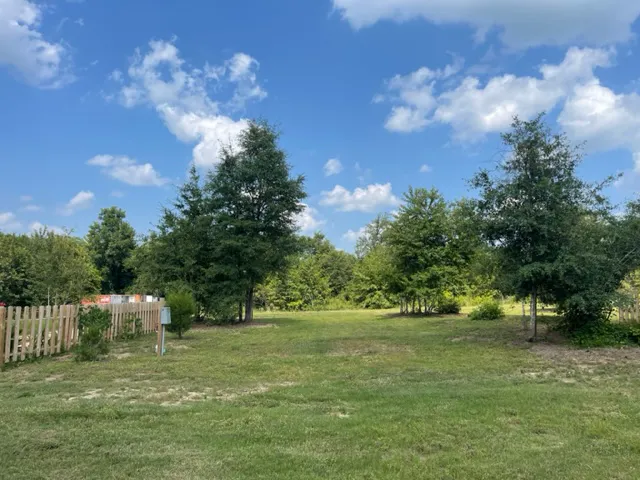 Hidden Cypress Christmas Tree Farm 8