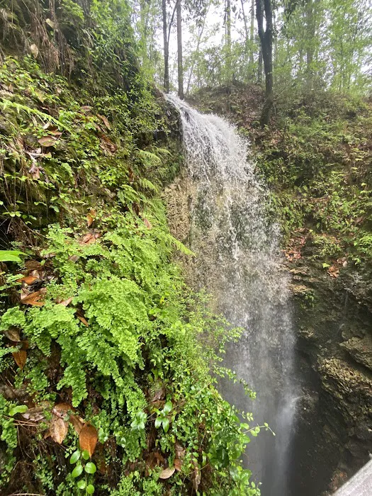 1130 State Park Rd 1