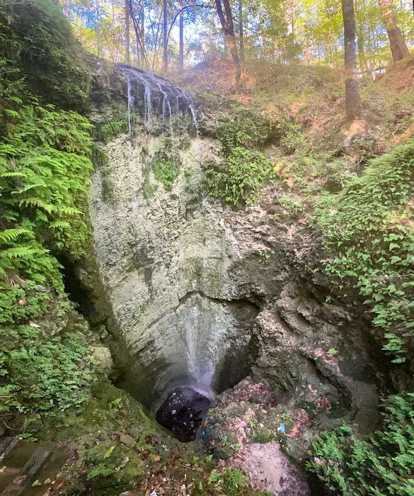 1130 State Park Rd 4
