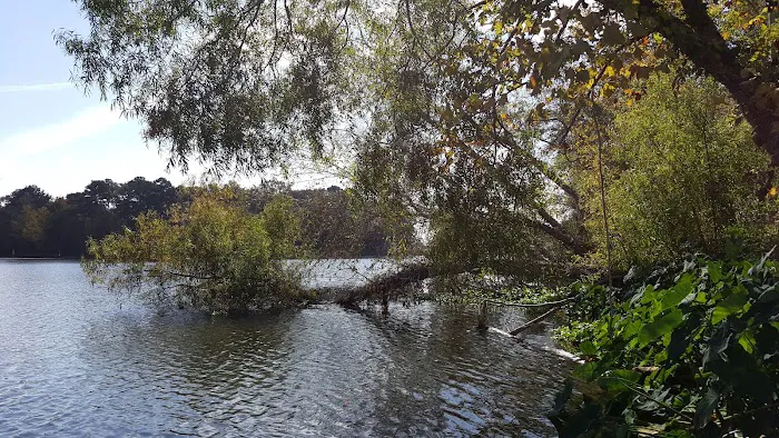 Butlers Ferry (Trails End Marina) (recgovnpsdata) 8