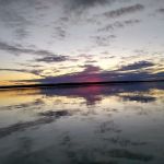 Butlers Ferry (Trails End Marina) (recgovnpsdata)