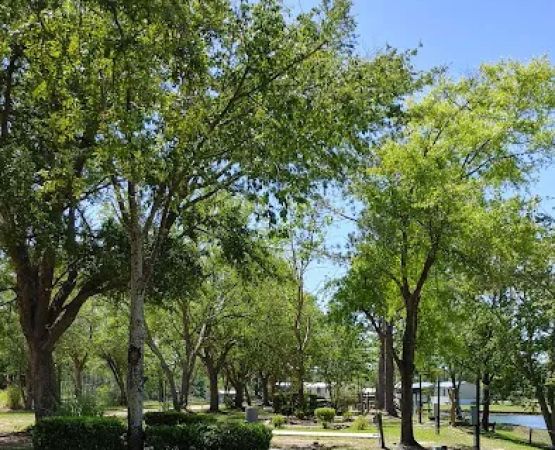 Fins and Feathers Campground