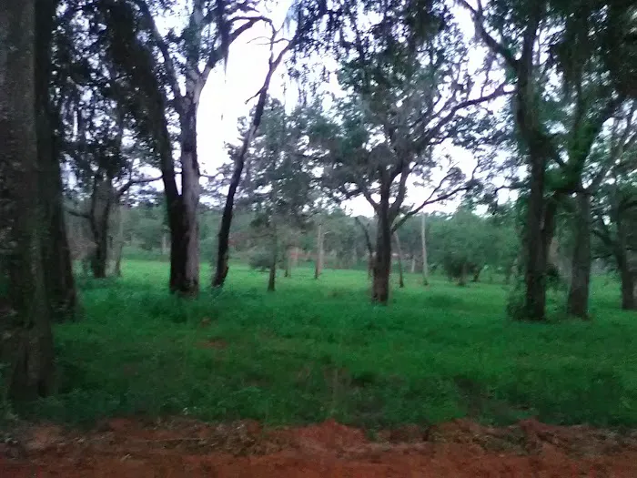 Fins and Feathers Campground 1