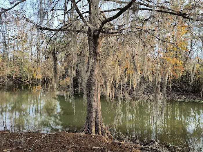 Hales Landing Campground 0