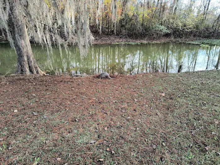 Hales Landing Campground 1