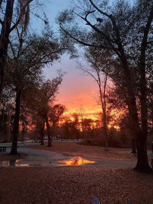 Hales Landing Campground 5