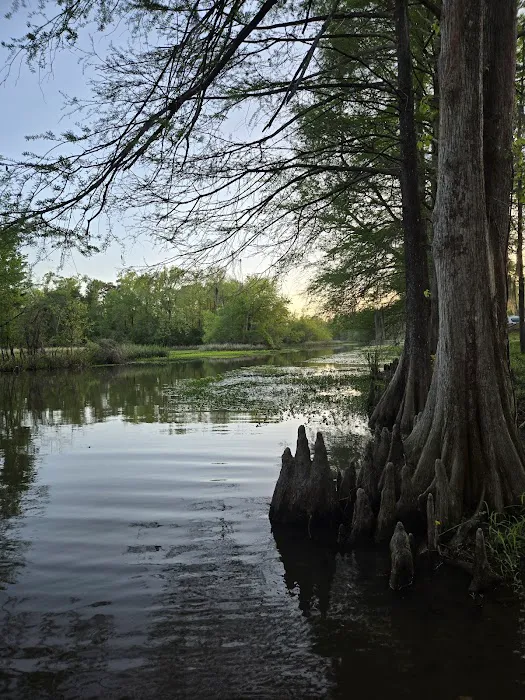 Hales Landing Campground 6