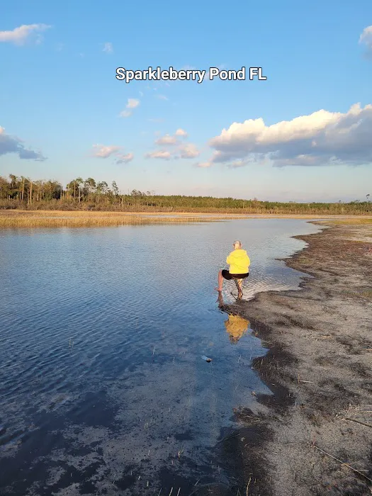 Sparkleberry Pond 0
