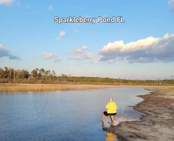 Sparkleberry Pond