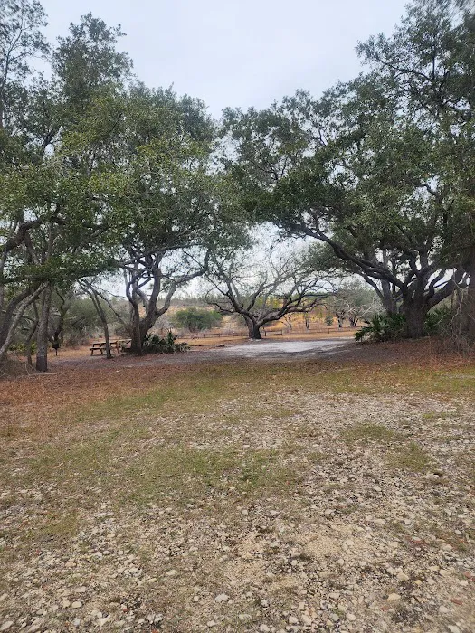 Sparkleberry Pond 8