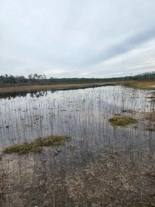 Sparkleberry Pond 3